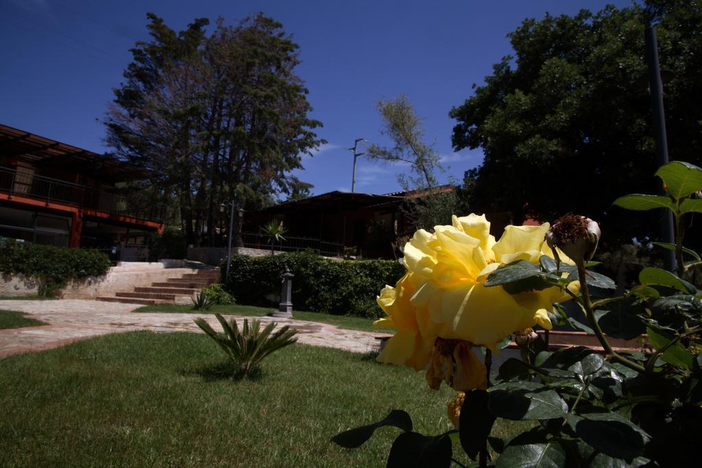 Residenza Mediterranea Zambrone Ngoại thất bức ảnh