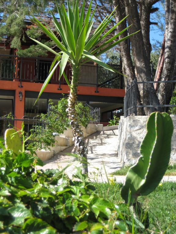 Residenza Mediterranea Zambrone Ngoại thất bức ảnh